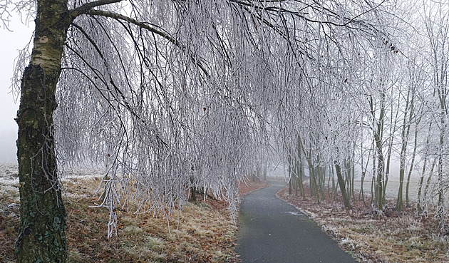 Námraza na Vysočině. Padají stromy, zavřené jsou dvě silnice na Třebíčsku
