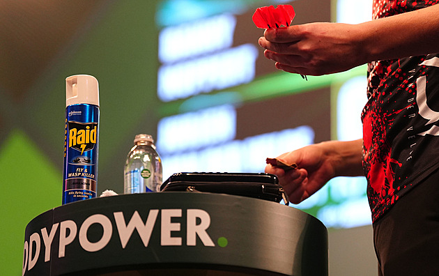 Vosy, na mě si nepřijdete! Šipkař si vzal sprej na hubení hmyzu, skončil ale v slzách