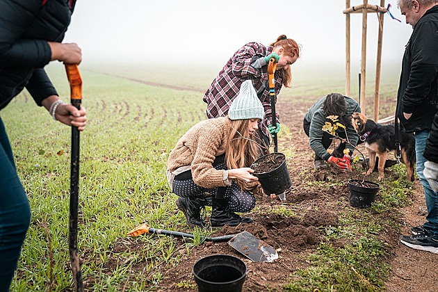 Stažená topení a vzletné věty. Firmy poprvé chystají povinné zelené reporty
