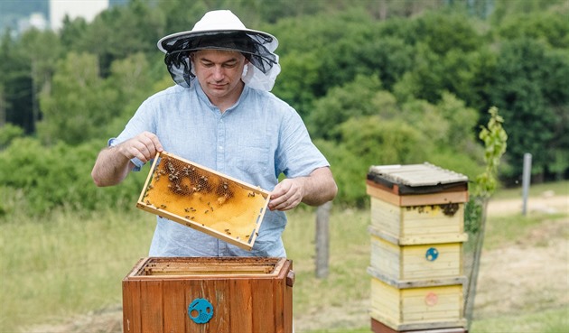 Med od včelaře? Kraj sužují choroby včelího plodu, nejvíce na Šumpersku