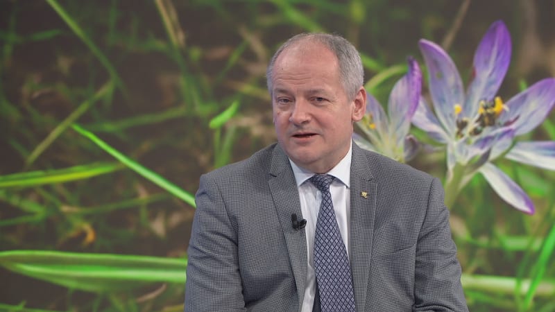 Klíšťata opět útočí: Očkujte se, doporučuje Prymula. Jak parazita bezpečně vytáhnout?