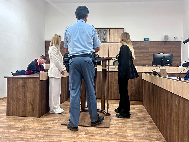Případ utýraného psa. Soud nechá vyšetřit klíčového svědka, sestry čelily konfrontaci