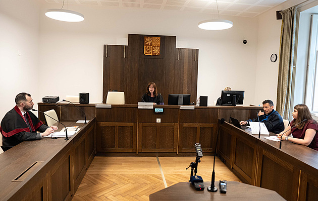Padl trest za předvolební plakáty SPD. Hnutí musí zaplatit tři miliony, vinu odmítá