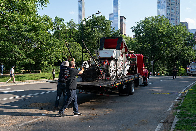 New York zvažuje zákaz koňských spřežení. Smrtelná nehoda rozvířila debatu